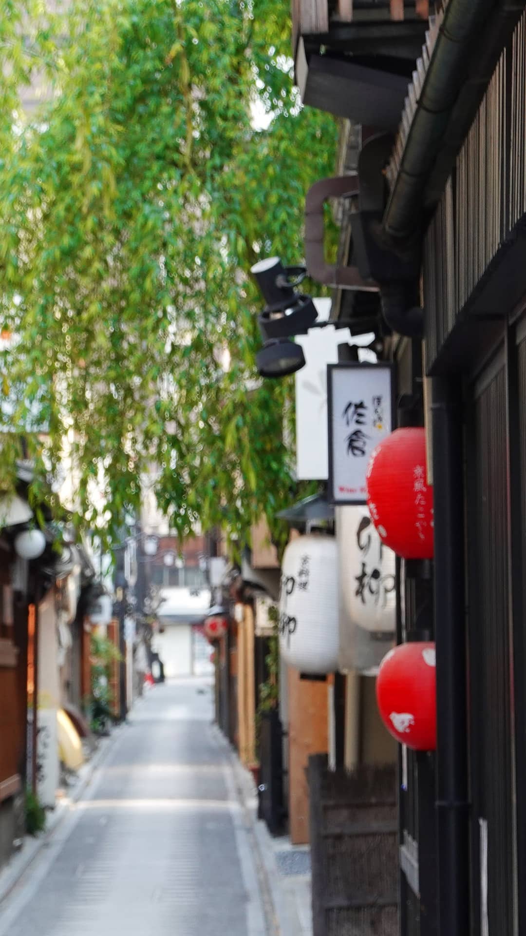 Things To Do in Kyoto | Dhawa